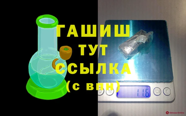 гидра Володарск