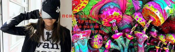 ГАЛЛЮЦИНОГЕННЫЕ ГРИБЫ Волоколамск