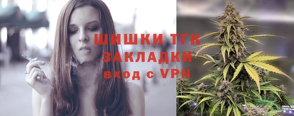 гидра Володарск