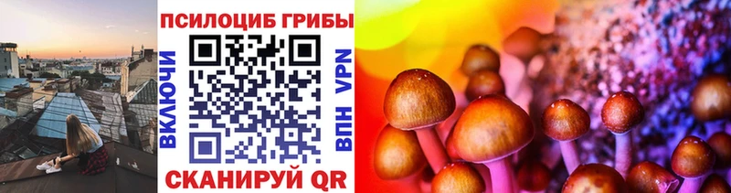 Купить  Лебедянь  Псилоцибиновые грибы прущие грибы 